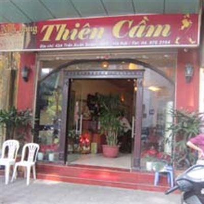 Thiên Cầm