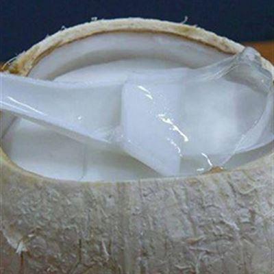 Thạch Dừa, Dừa Xiêm – Chả Cá