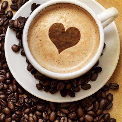 Cafe Trung Nguyên – Quỳnh Mai