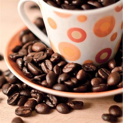 Bảo Ngọc Cafe – Nhật Chiêu