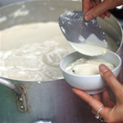 Tào Phớ Nghĩa Tân