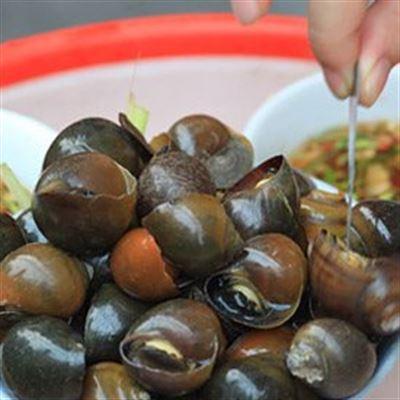 Ốc Hà Đen – Trần Nhật Duật