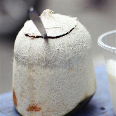 Coco Jelly – Nguyễn Chí Thanh