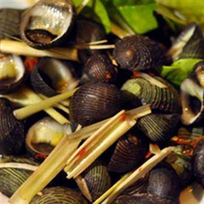 Dũng Béo – Lẩu Nướng & Ốc Nóng
