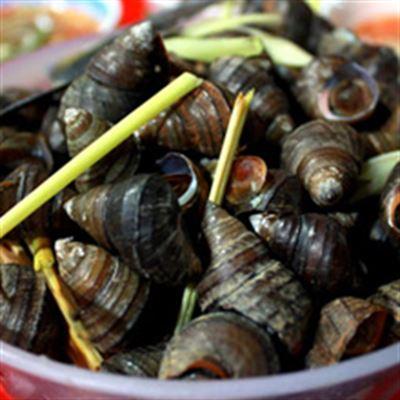 Ốc Luộc – Quốc Tử Giám