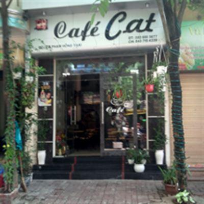 Cat Cafe – Phạm Hồng Thái