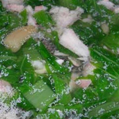 Huyền Cá Rô – Tuệ Tĩnh