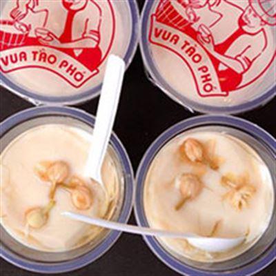 Vua Tào Phớ – Kem Ý AnAnGelato – Chợ Phùng Khoan