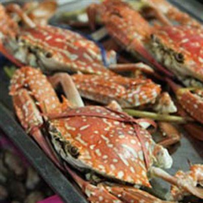 Trung Trang – Hải Sản Bình Dân