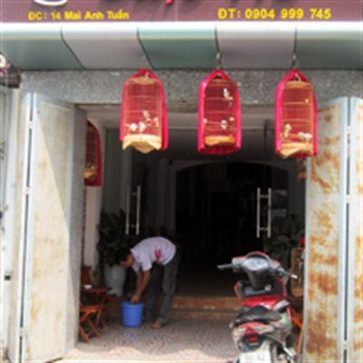 Hồ Cafe