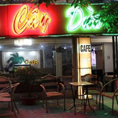 Cây Dừa Quán Cafe