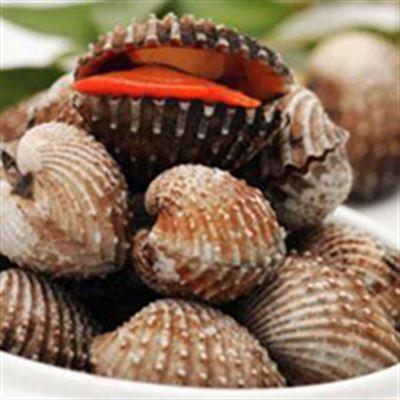 Quán Hải Sản Ngon – Hàng Lược