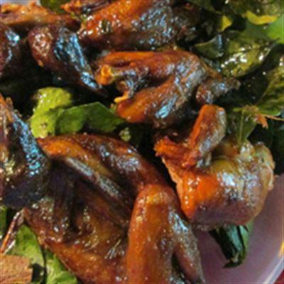Chim Quay Móc Mật