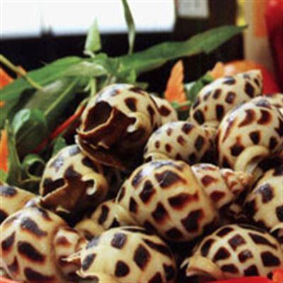 Quán Ốc – Hoàng Ngọc Phách