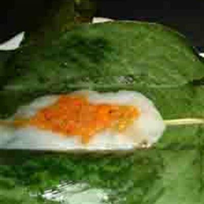 Bánh Huế – Tam Trinh