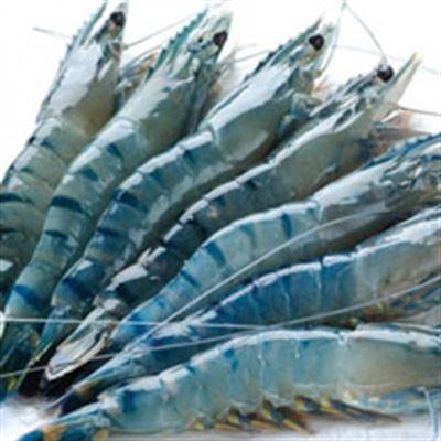 Hải Sản Sạch