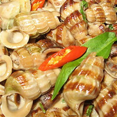 Ốc Rượu – Hồng Mai