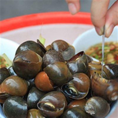 Ngao Ốc – Trần Huy Liệu