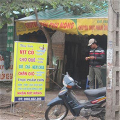Thùy Toản