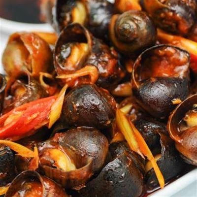 Ốc Mít – Giảng Võ