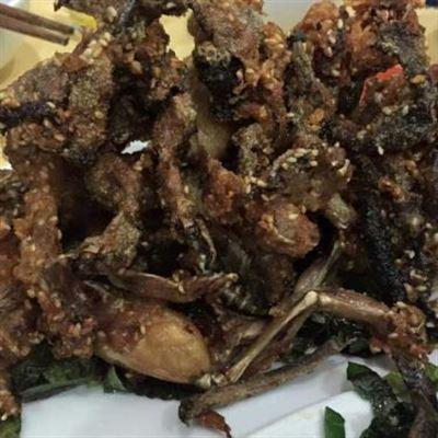 Ếch Kiến Thuỵ