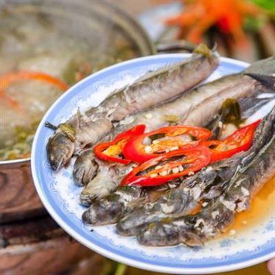 Hiếu Béo Quán – Hoàng Minh Thảo