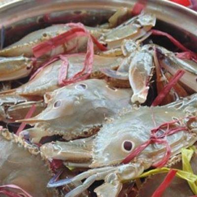 Hiệu Chi Restaurant – Đặc Sản Biển