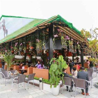 Victory Pony Club – Khu Cưỡi Ngựa Thể Thao Sinh Thái