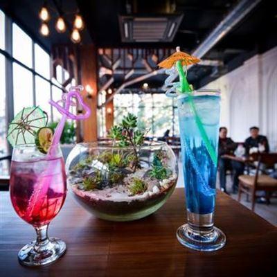 Venice Coffee & Bar – Lạch Tray