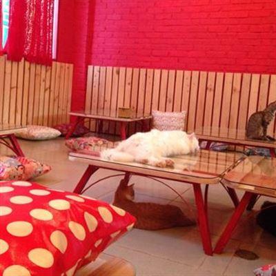 Dobodo Town – Nguyễn Công Trứ
