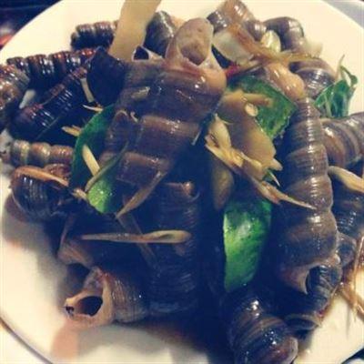 Ốc Hoa Cau – Thiên Lôi