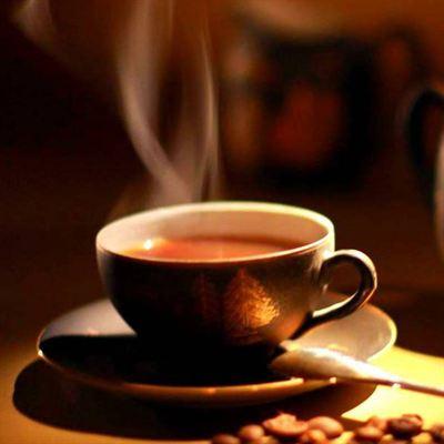 Tree Coffee – Lê Hồng Phong