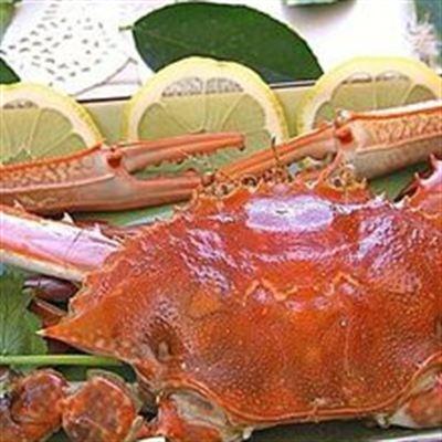Quán Bia Cảng Cá
