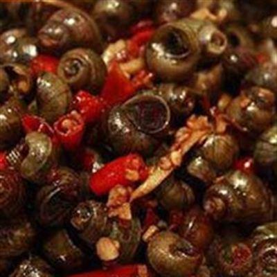 Ốc Cô Lời