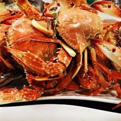 Hải Sản Tươi Sống – Cửa Hội