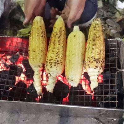 Lương Mập – Mực Nướng, Ngô Nướng & Cá Chỉ Vàng