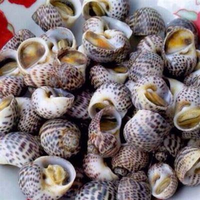 Hưng Thịnh – Phục Vụ Ăn Uống & Dịch Vụ Bãi Biển