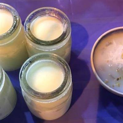 Cô Viền – Sữa Chua & Đồ Ăn Vặt