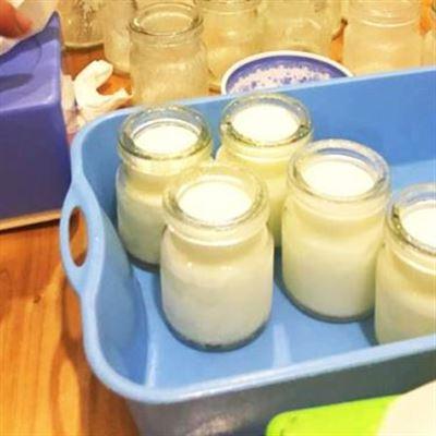 Sữa Chua Sạch Huyền Trang