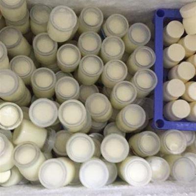 Cô Phượng – Sữa Chua Sạch & Ăn Vặt