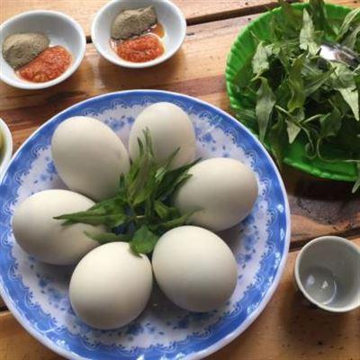 Trứng Lộn – Trần Cao Vân