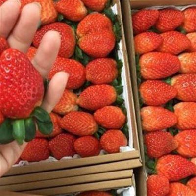 Gap Store – Vườn Dâu Tây Huế