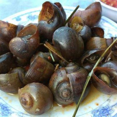 Ốc Dì Hương