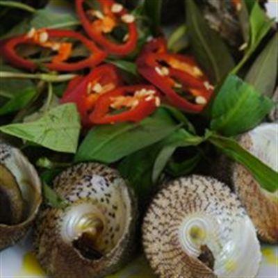 Ốc Hẻm 116 – Vườn Chuối