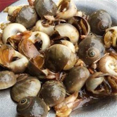 Ốc 254 – Nguyễn Thị Định