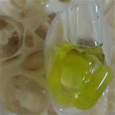 Sinh Tố – Trà Sữa – Trà Chanh