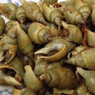 Ốc Thủy Tiên – Đoàn Văn Bơ