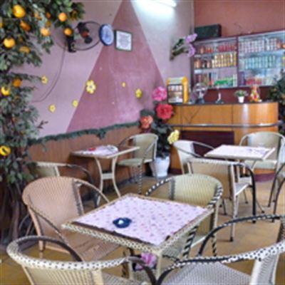 Nhạc Trẻ Thanh Hồng Cafe