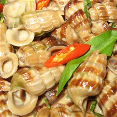 Năm Lửa Quán – Nguyễn Ảnh Thủ