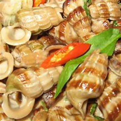 Ốc Ngon – Nguyễn Văn Quá